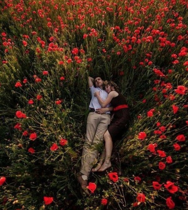 маковое поле