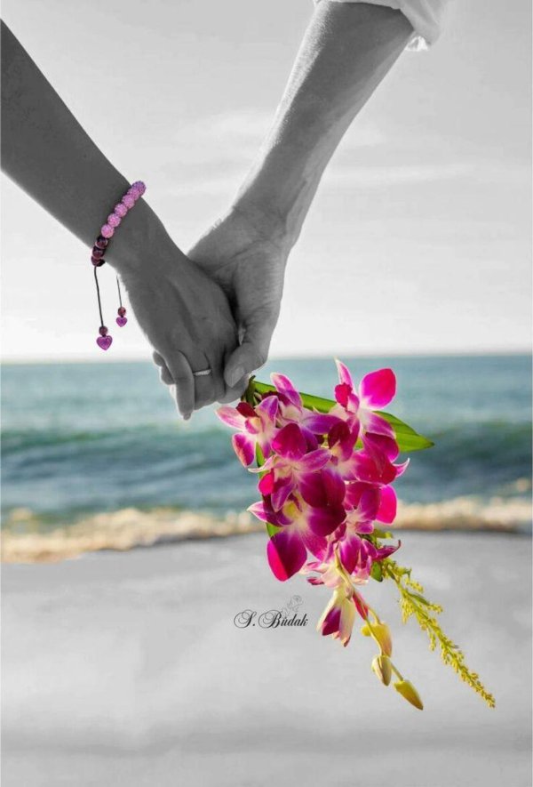 орхидея таиландская