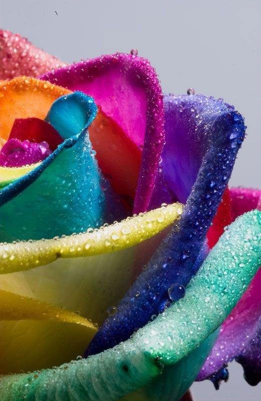 Всякие разные