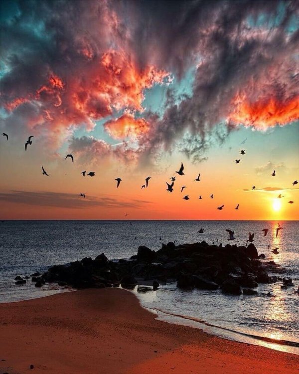 Всякие разные