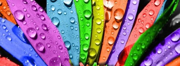 Всякие разные