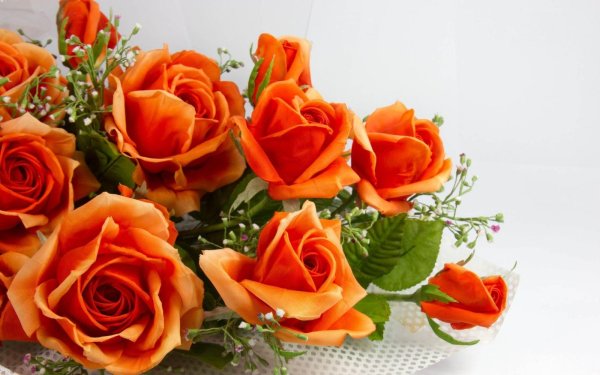 Очаровательной женщине