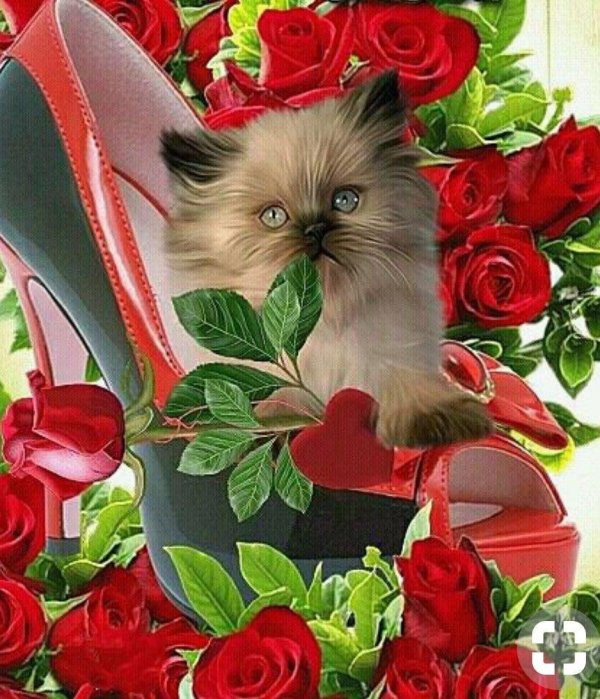 Очаровательной женщине