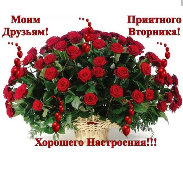 Очаровательной женщине