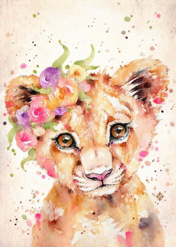 Животных цветные