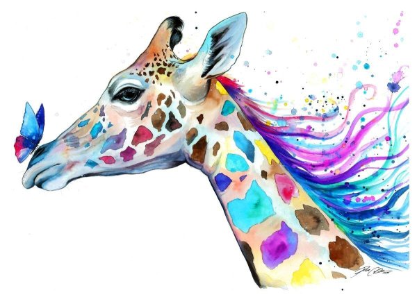 Животных цветные