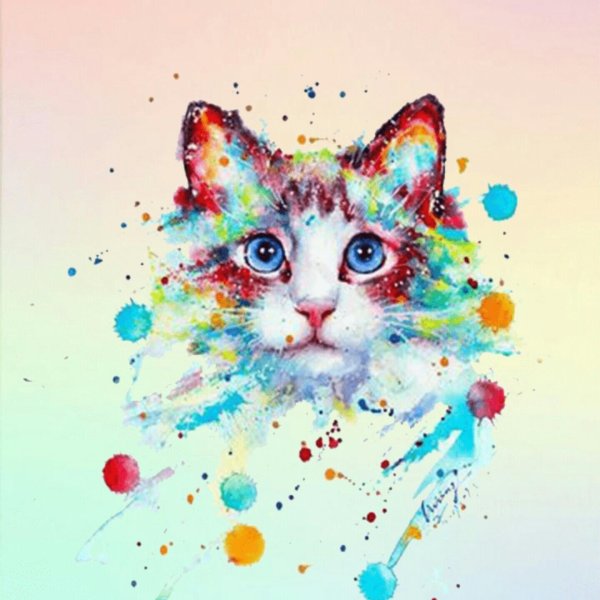 Животных цветные