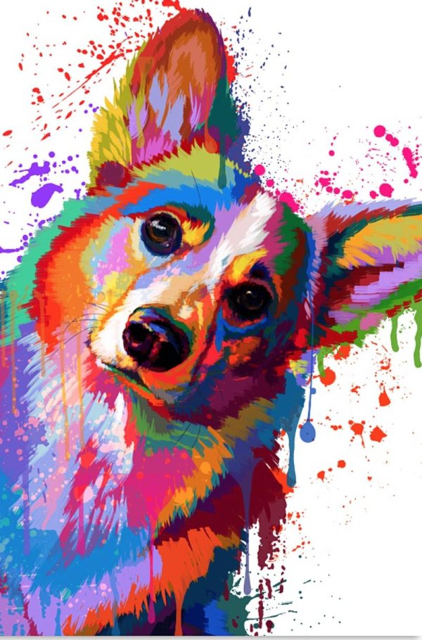 Животных цветные