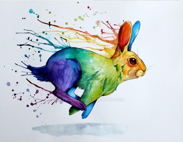 Животных цветные