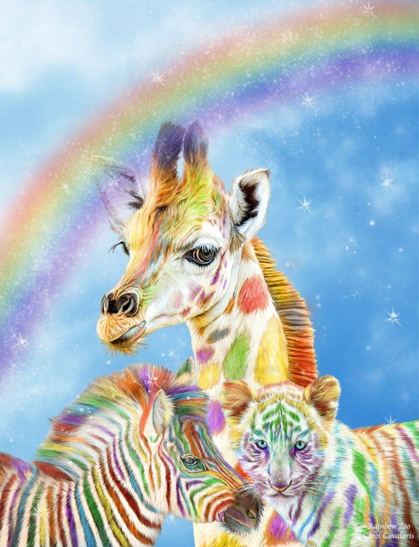 Животных цветные