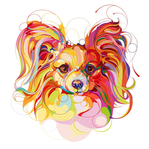 Животных цветные