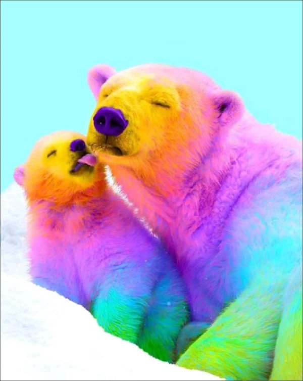 Животных цветные