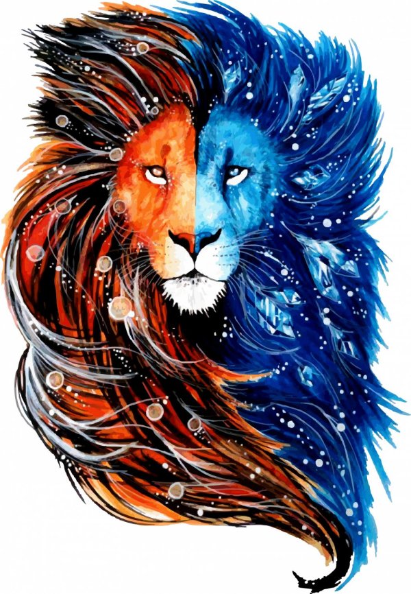 Животных цветные