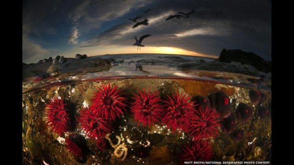 Необычные новые