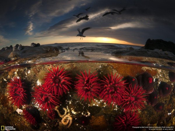 Необычные новые