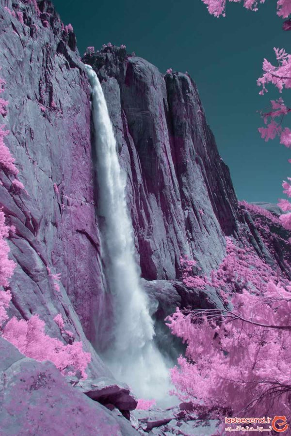 Необычные новые