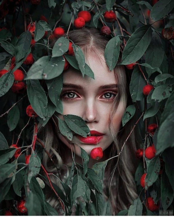 Необычные новые