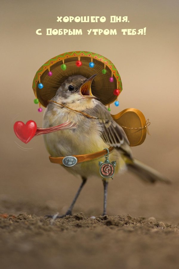 Необычные новые