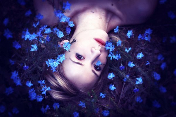 Необычные новые