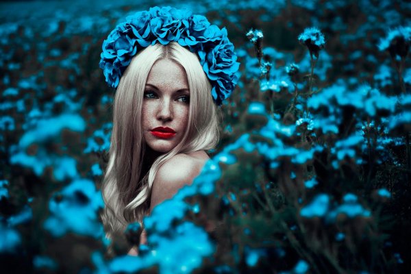 Необычные новые