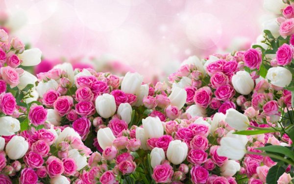 цветочные фоны