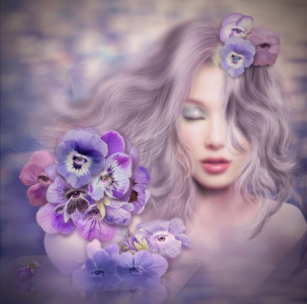 анютины глазки виола