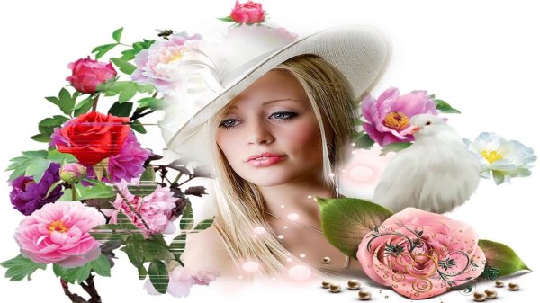 открытка прекрасной женщине