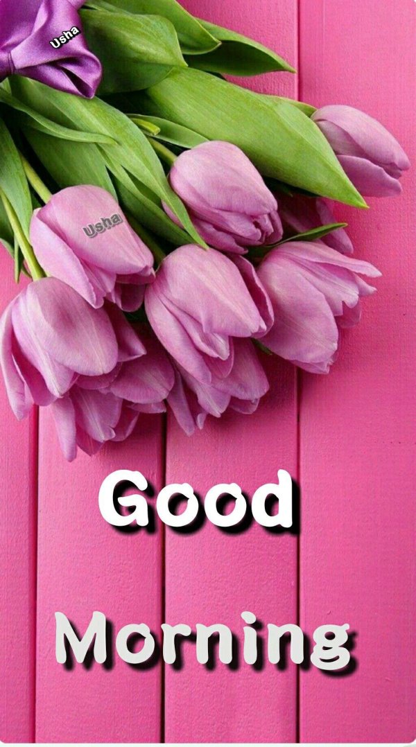 Тюльпаны вертикальные