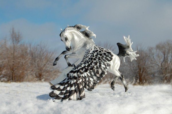 Лошади зимой