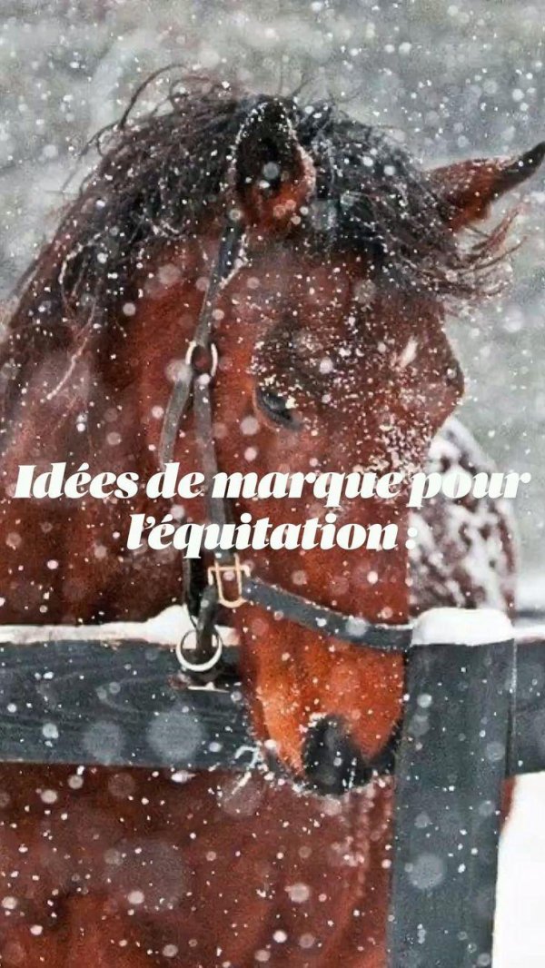 Лошади зимой