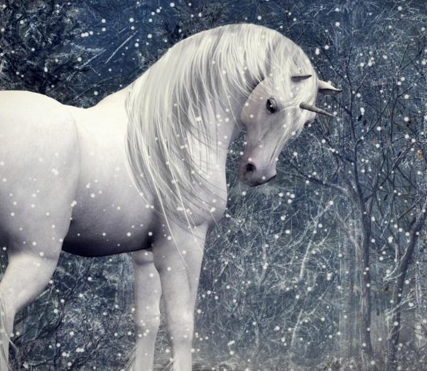 Лошади зимой