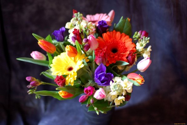 яркие букеты