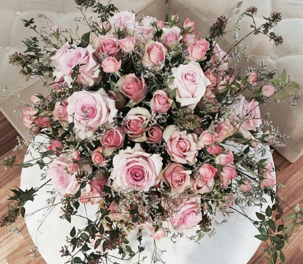 кустовая роза