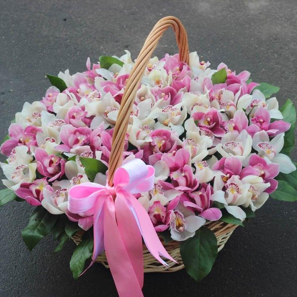 орхидея букетная