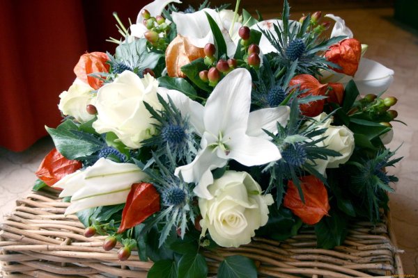 цветы букеты композиции