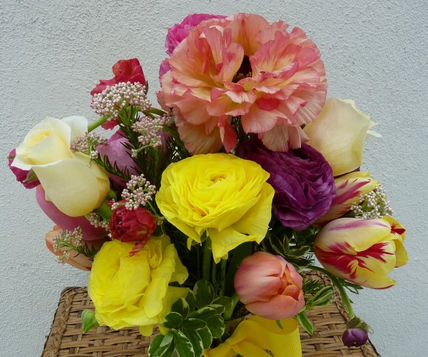 лютик йеллоу