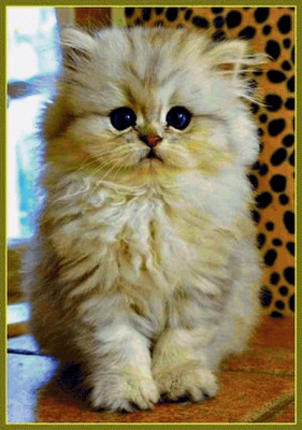 Пушистые кошки