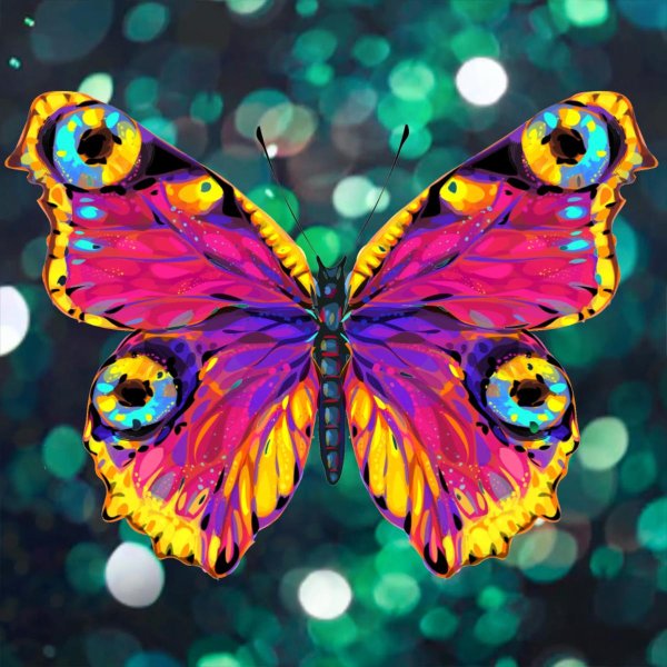 Бабочки яркие