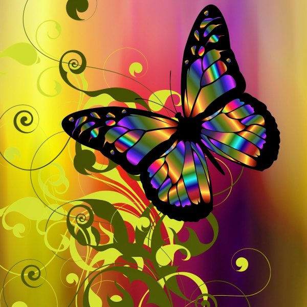 Бабочки яркие