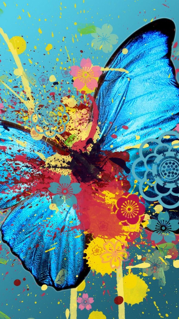 Бабочки яркие