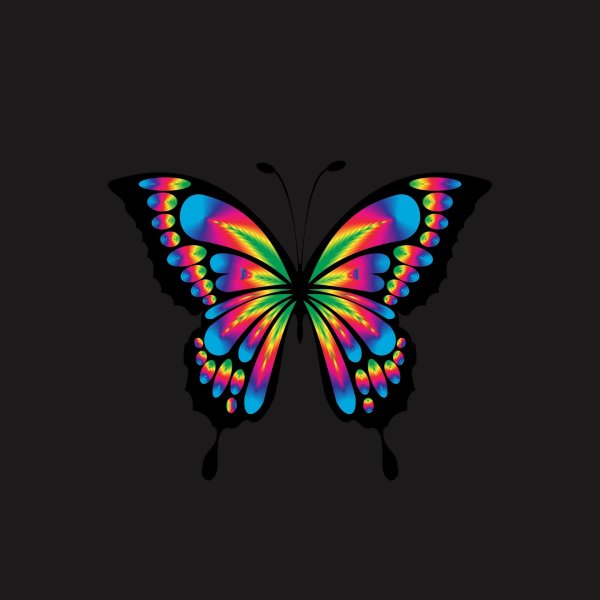 Бабочки яркие