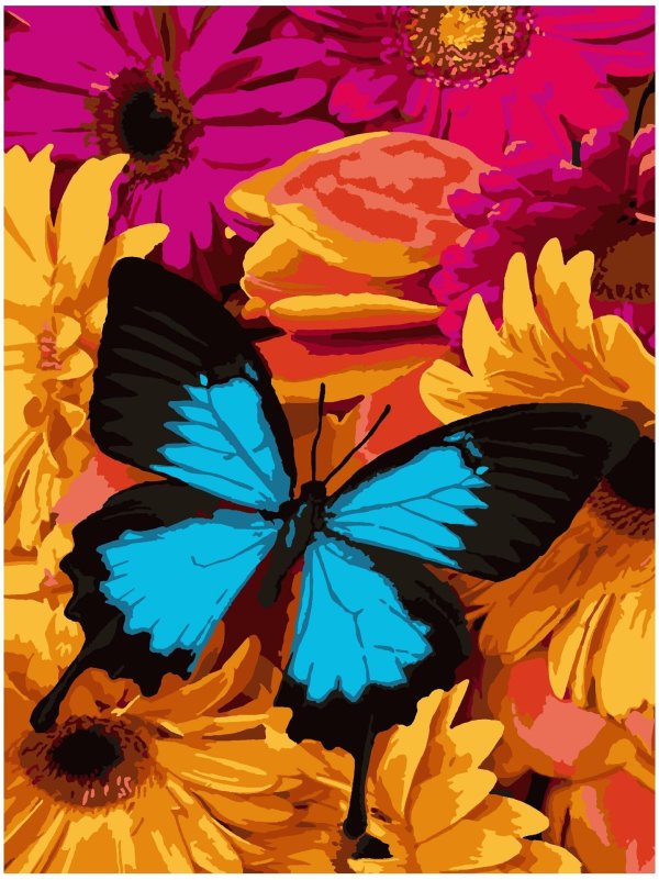 Бабочки яркие