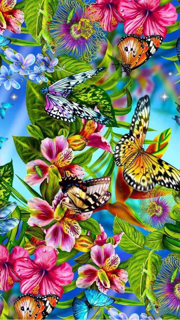 Бабочки яркие