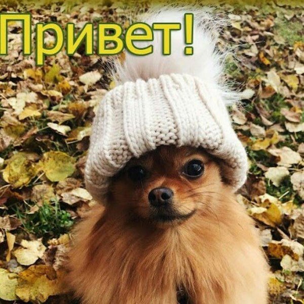 Воскресенье ура