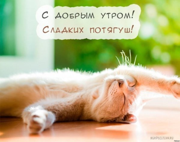 Воскресенье ура