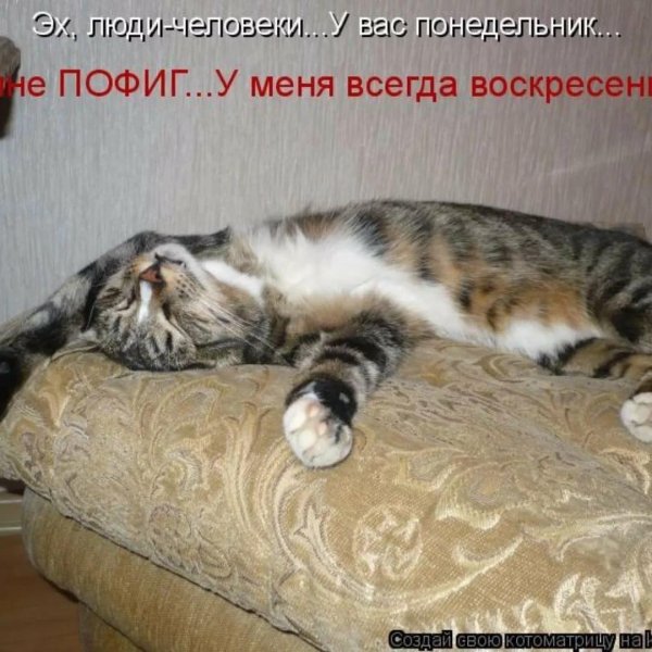 Воскресенье ура