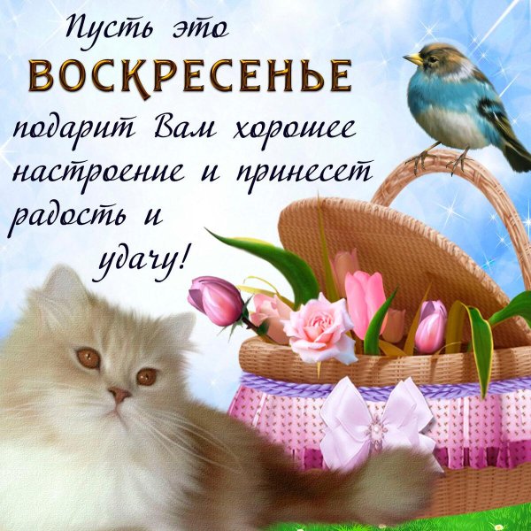 Воскресенье ура