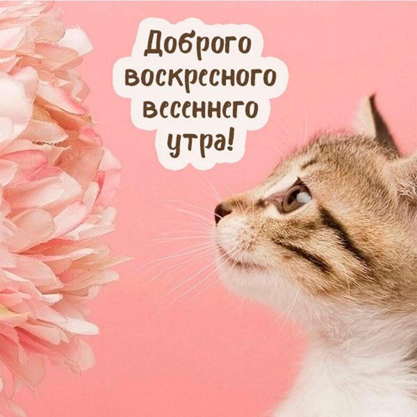 Воскресенье ура