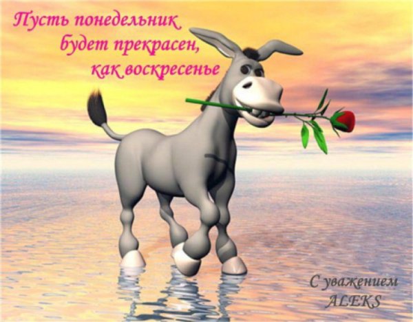 Воскресенье ура