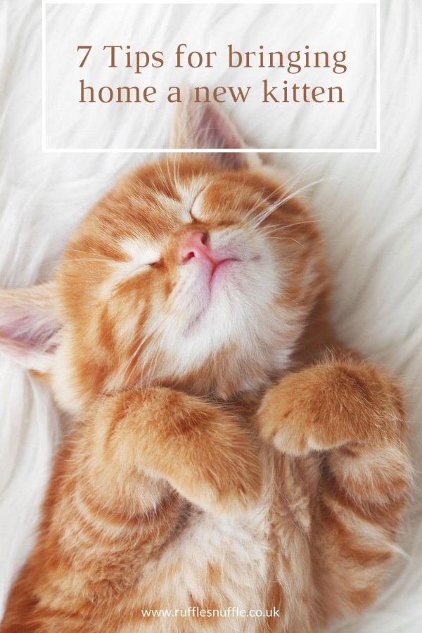 Воскресенье ура